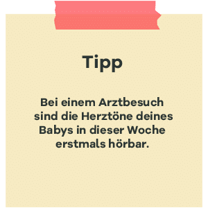 Tipp zur SSW 17: Herztoene beim Baby