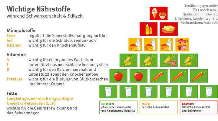 Wichtige Nährstoffe