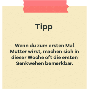 tipp_ssw33_Senkwehen.jpg